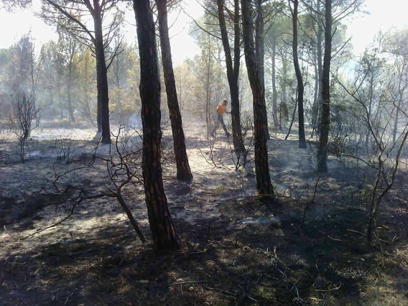 Foto scattata da Gian Pietro Biancu