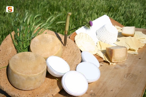 Foto da Sardegna Digital Library 