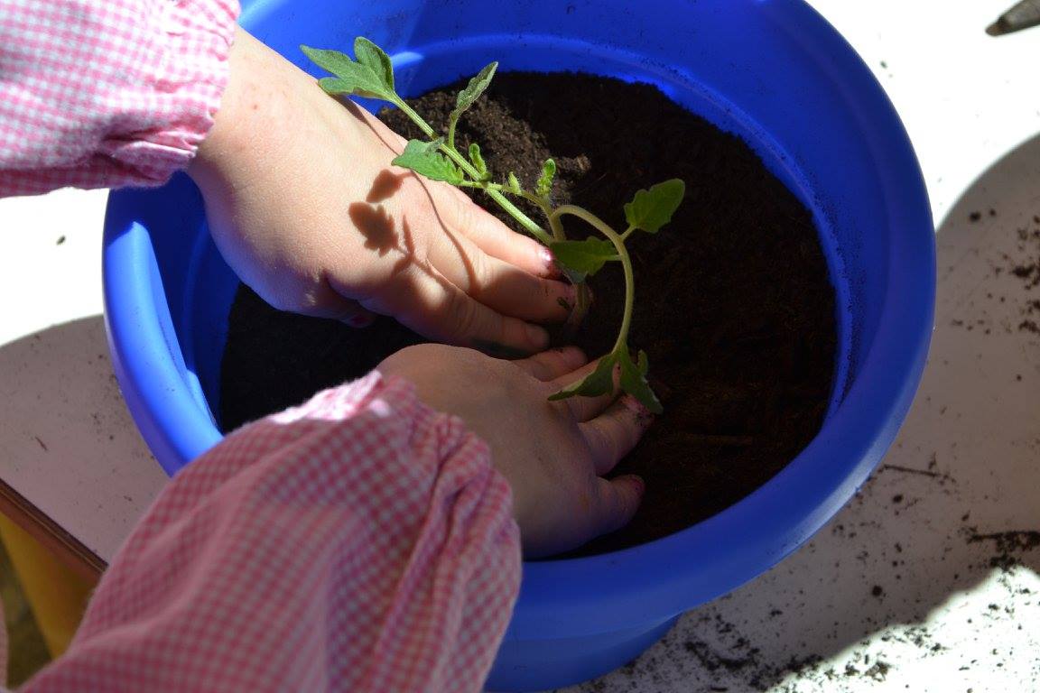 Fonte immagine Terras apertas