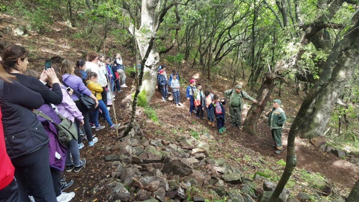 Fonte immagine Pasqualina Pau