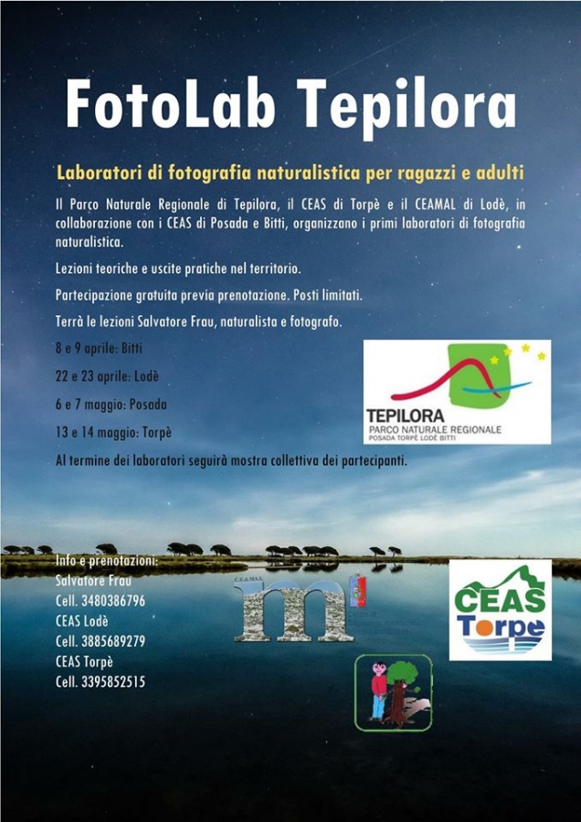 fotolabtepilora.jpg