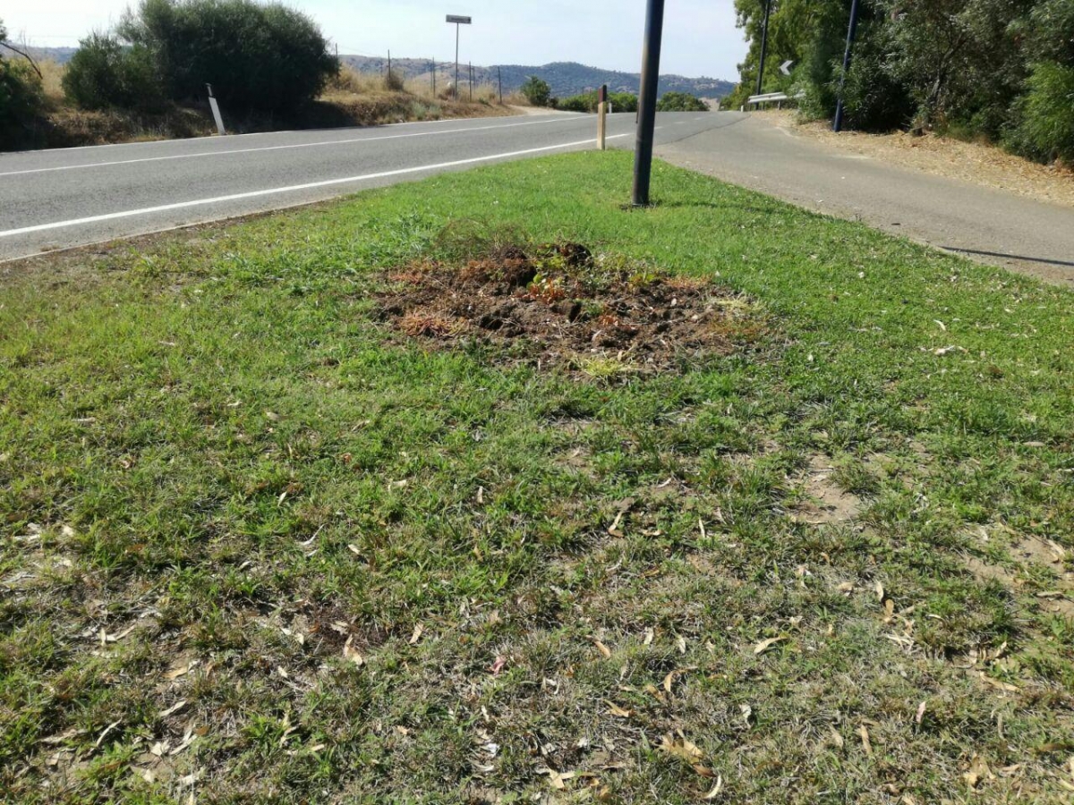 Aiuola divelta a Capo Comino, foto inviata alla redazione