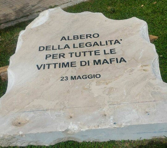 foto inviata alla redazione