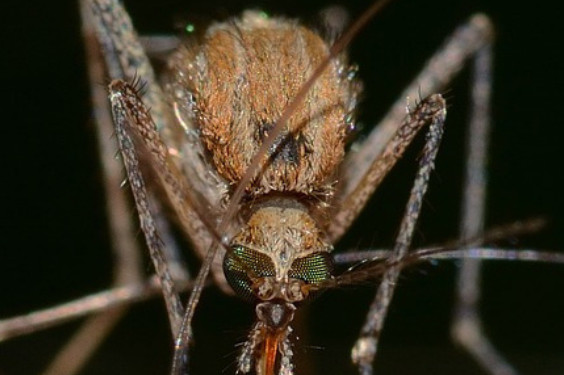 fonte immagine Ats Sardegna